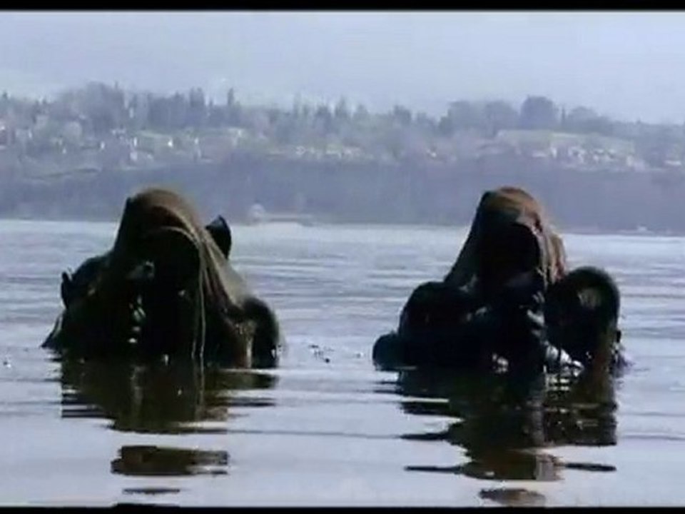 GROUP COMMANDO DE MONTAGNE