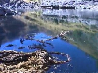 CULTURAL IMMERSION 4