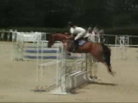 Quéribus 1m Baneins