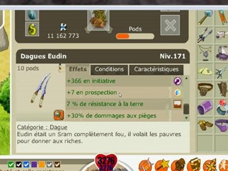 Cra Terre/Dommage lvl 200 sur arckanic sunshy bn lookage =)