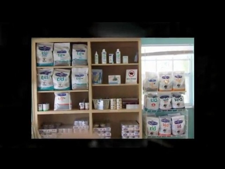 Veterinarian Spay Neuter in Palm Harbor Florida, Vet Spay N