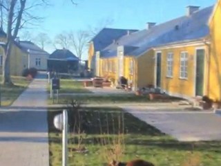 Anlægsgartner Sjælland Lynge John F A/S