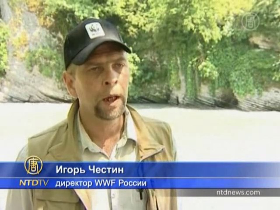 Строительство олимпийских объектов в Сочи тревожит экологов