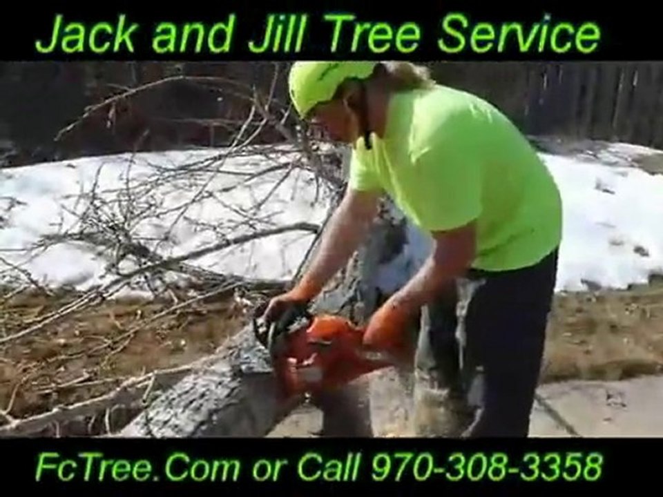 Tree Trimming Fort Collins