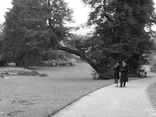 2006-2007 - TL - C'est beau l'amour 2