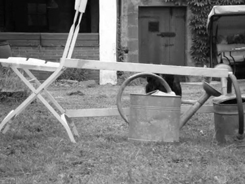 special agility saut !