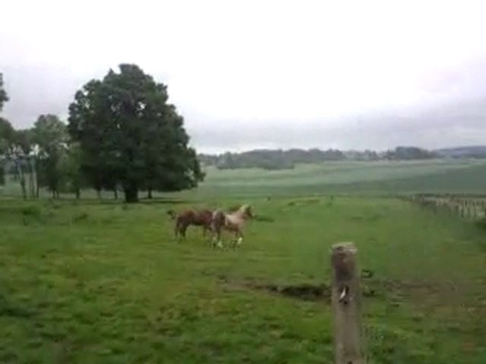 Vidéo0053