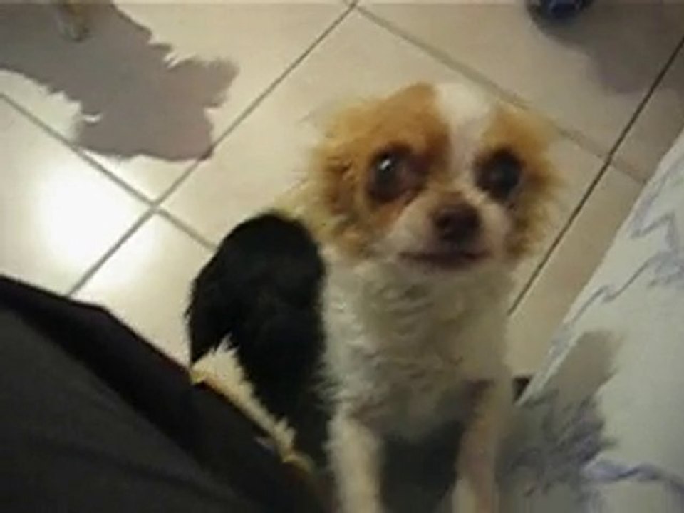 horatio , Jolie, Sethie, Marie et Joyce