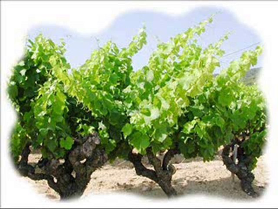 Science: le Mythe des datations absolues