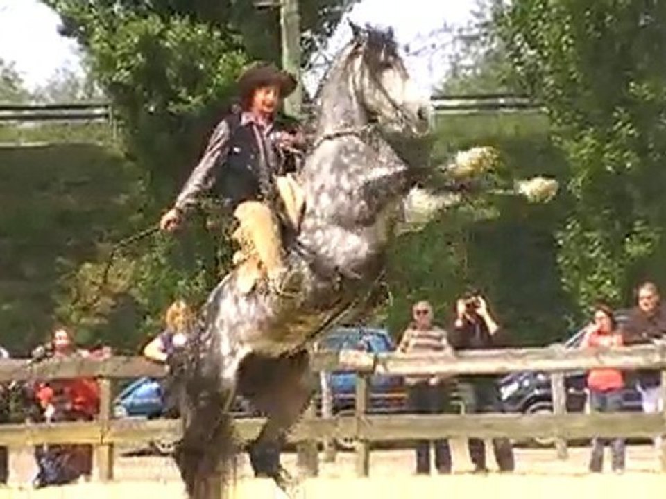 ♫ BUGGLEGUM COWBOY ♫ LOCO LOCO ♫