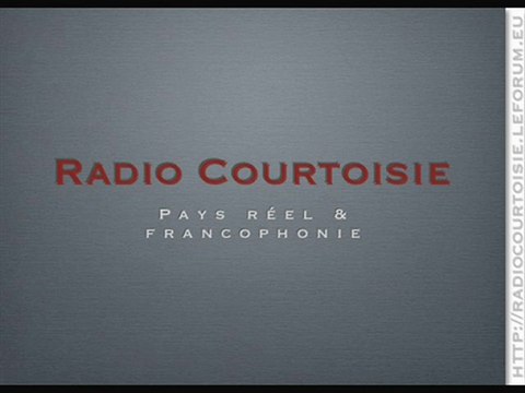 Armes électro-magnétiques 2_2