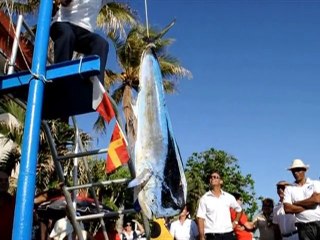 Battle of the anglers at Cuba fishing tournament