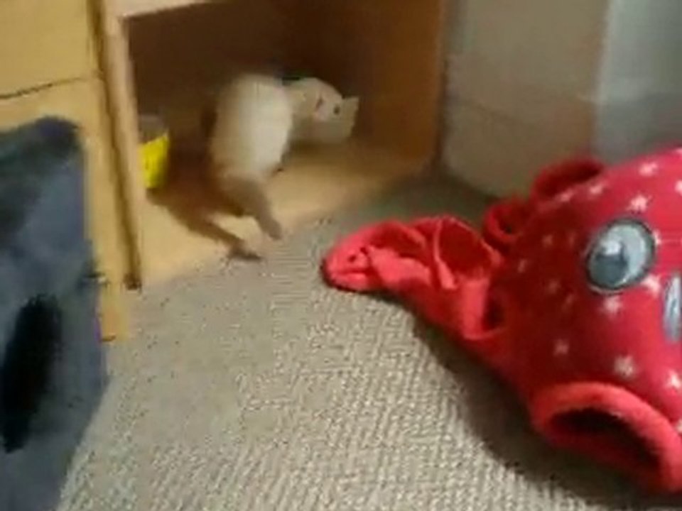 luna et Chelsea