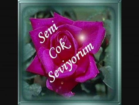 Bu Kalp Sensiz Olamaz