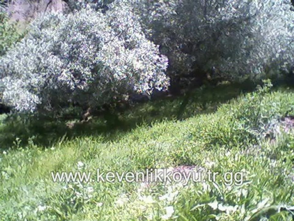kevenlik köyü