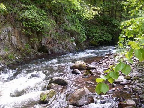 Le forum La truite et les carnassiers en Auvergne