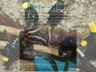 Bellingham WA Home Inspection -- King of the House