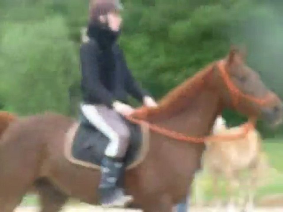 30/05 : Cours équit' étho