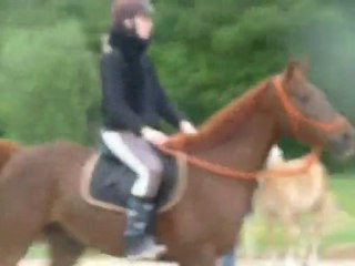 30/05 : Cours équit' étho