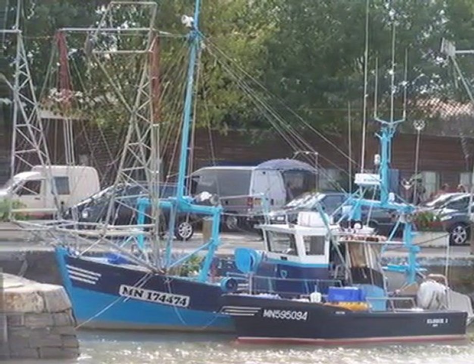 Meschers au fil de l'eau