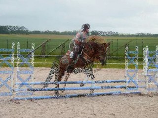 entrainement de saut d'obstacle