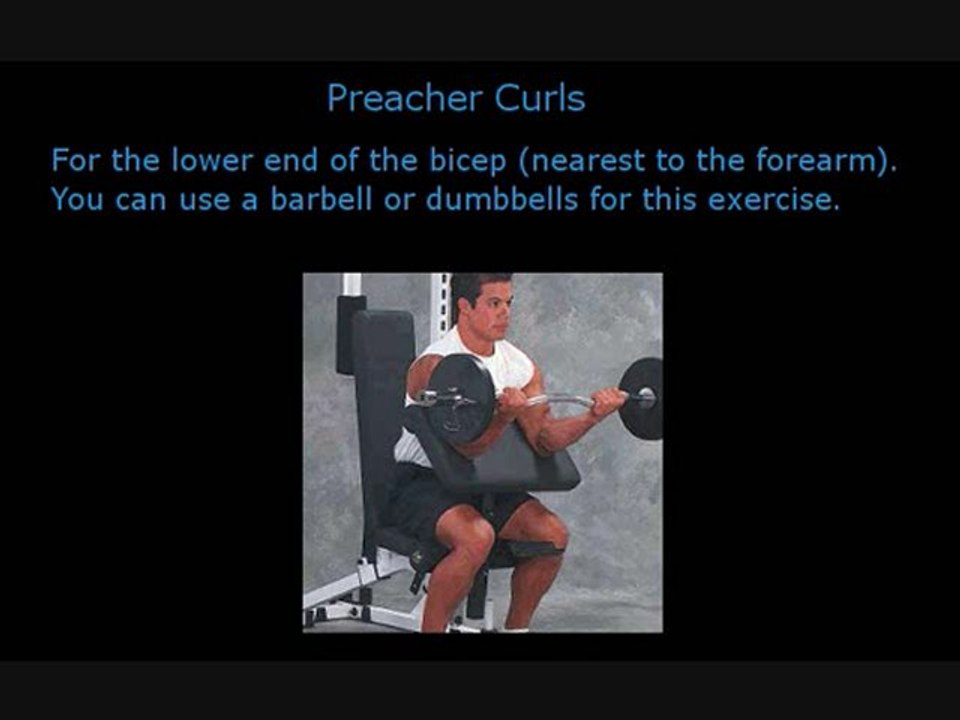 Top Bicep Exercises. Muscle Building Tips For Big Arms