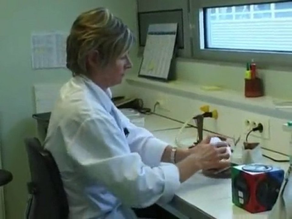 La fin des haricots ? (2005) 2/3