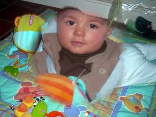 sacha de 3 mois a 6 mois