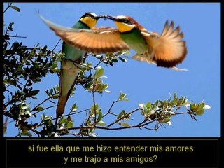 75 El video de rhonda byrne hizo famoso a el secreto,