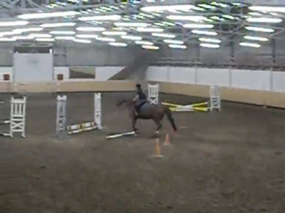 Equifun avec Dictame , 30 Mai 2010