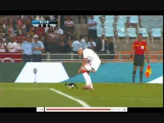 France-Tunisie 2010 foot  : Chat sur le Terrain