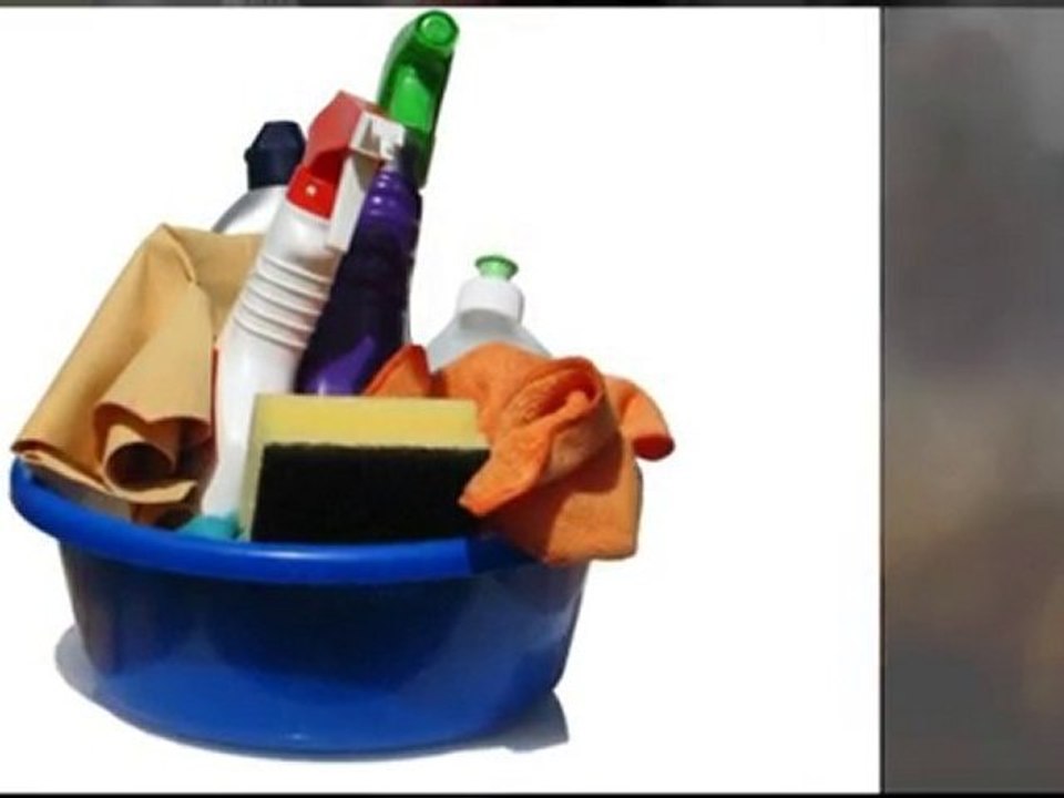 Mold Remediation New Jersey - 7 Safety Tips