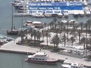 Vienna - Austria, Hamburg - Germany, Washington - USA, Berlin - Germany, Palma de Mallorca - Spain, Dubrovnik - Croatia, Cannes - France