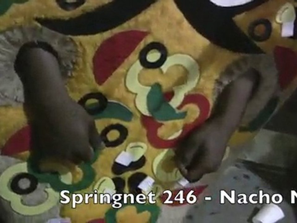 Springnet 246 - nacho man