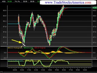 ﻿Stock Market Education a