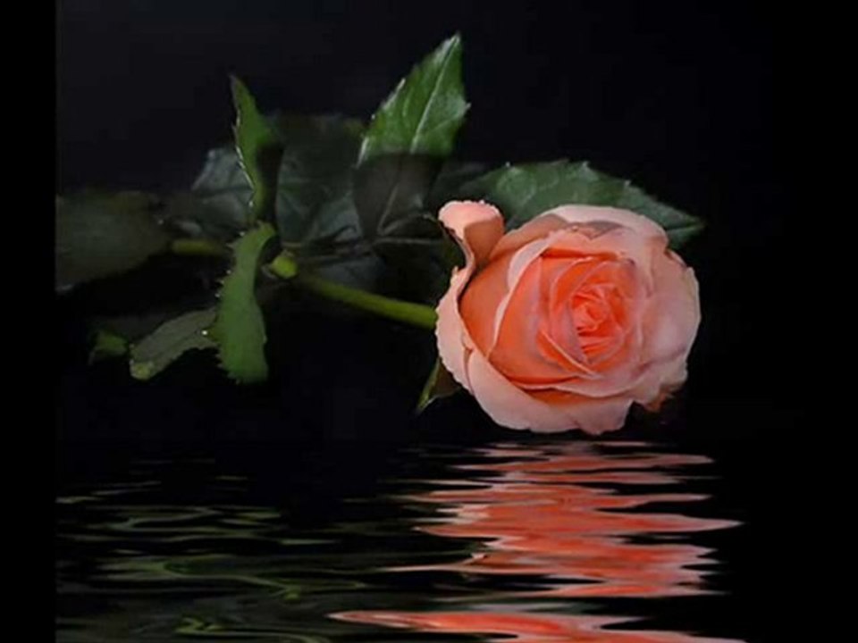 bir sen kaldın!akif