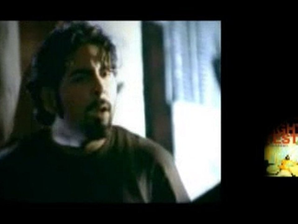 Tomando notas: The Flaming Lips vs Cat Stevens