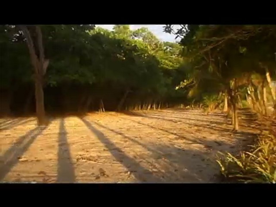 surfing in costa rica
