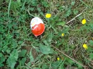 M2 CMW - Projet vidéo de Pierre Pivain et de David Wong