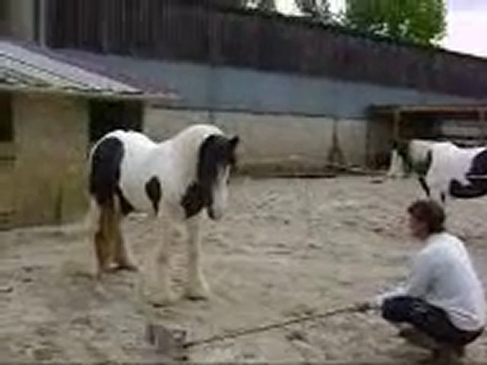 up star s'amuse