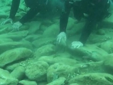 STAY WET Baptême de Plongée en Crète