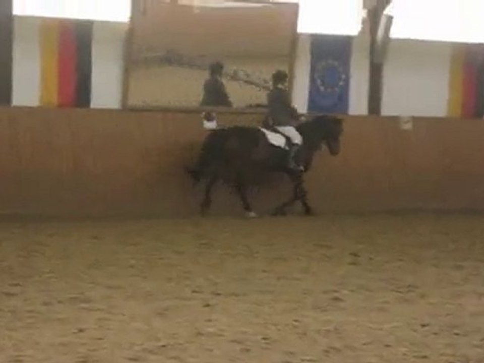 MelinaSophia-Dressur 1