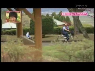 Chimpanzé apprend à faire du vélo