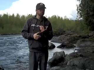 Basics of Network Marketing