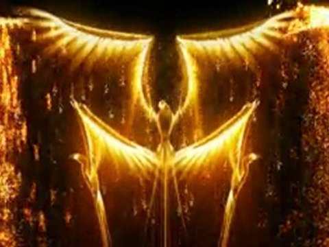 Scénographie concert Johnny Hallyday 2009 phoenix