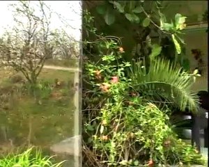 Groupe Impact Design - Reportage La maison de Cendrine