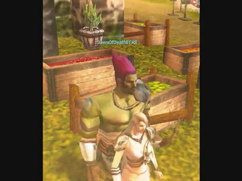 Knight SeX