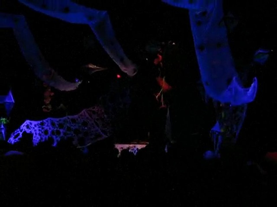 forest Vision 29-05-2010 salle Transe