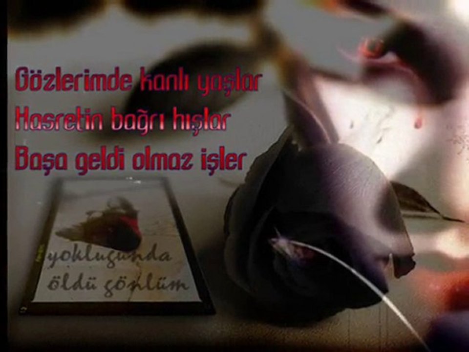 gönlüm daglarda.özlem özdil