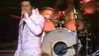 Elvis In Concert by Jeff Golden (Elvis in Concert)